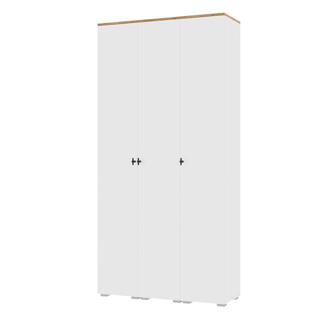 Шкаф распашной Квели - 3.1 Белый