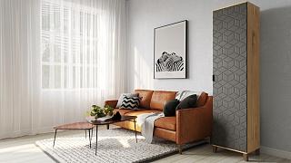 Шкаф распашной Марвин Йорк - 1 Графит