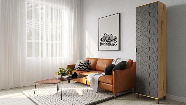 Шкаф распашной Марвин Йорк - 1 Графит