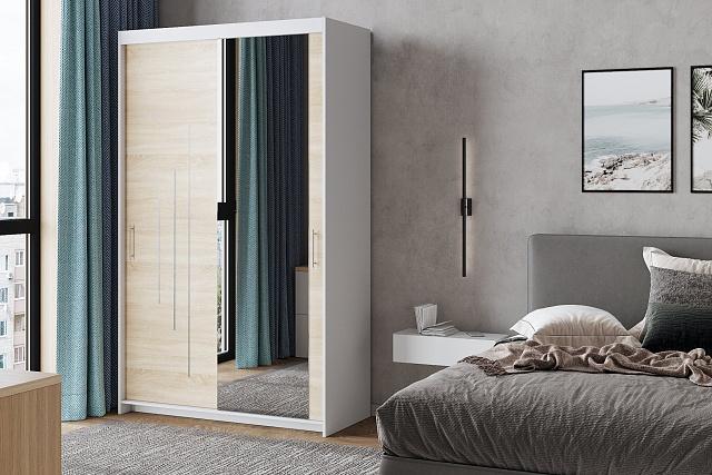 Шкаф-купе Валмиера - 3