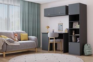 Пенал Стрекоза - 2 МДФ Графит