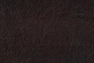 Кресло-кровать Фишер - 2 Venzel Beige