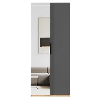 Шкаф распашной Астрис - 2 с зеркалом Графит