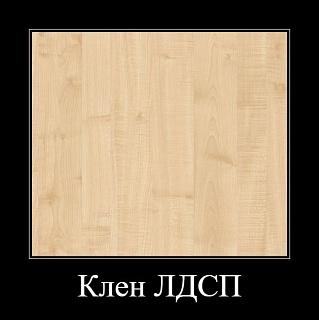 Тумба Лира КС.004.800-01 (467ср)