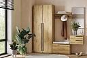Прихожая Лорена Пакс - 5 Дуб Золотистый