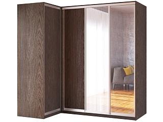 Шкаф-купе угловой Премьер - 6