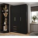 Шкаф распашной Лавис - 3.3 Черный