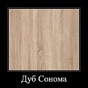 Библиотека Карлос-034 (652283)