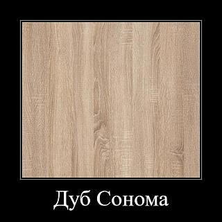 Библиотека Карлос-034 (652283)