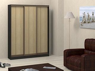 Шкаф-купе Адриано - 3