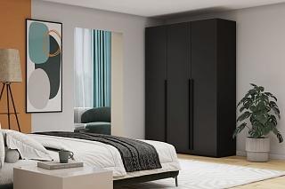 Шкаф распашной Лорена Пакс - 3 Черный