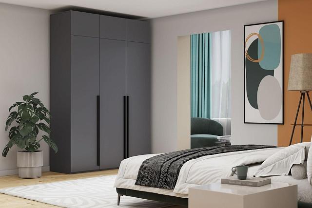 Шкаф распашной Лорена Пакс - 3 с антресолью Графит