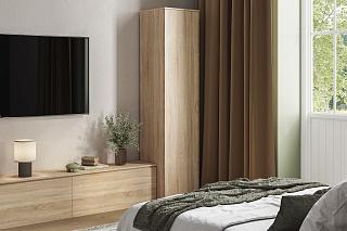 Шкаф распашной Лайт-1 Платье Дуб Сонома