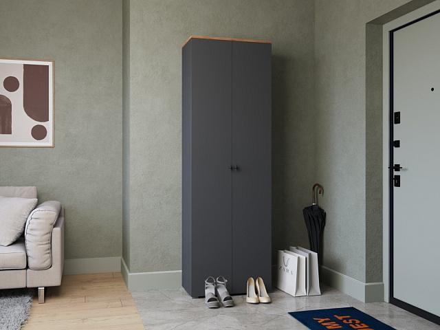 Шкаф распашной Квели - 2 Графит