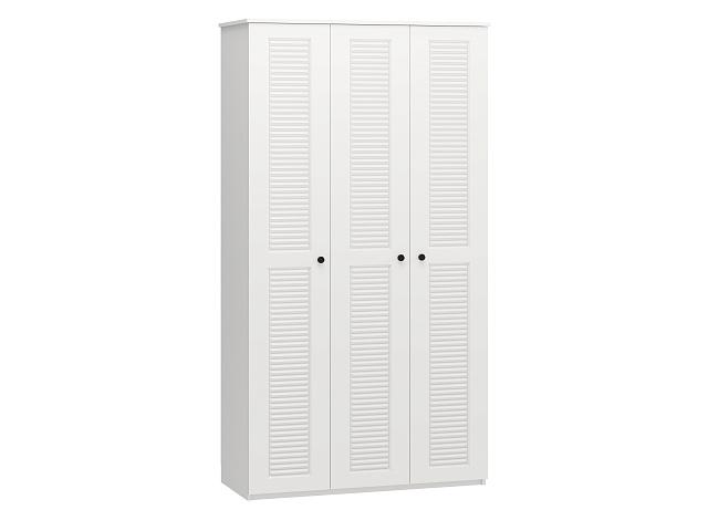 Шкаф распашной Монреаль-3