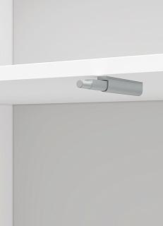 Шкаф распашной Нероли Пуш 3.3.1