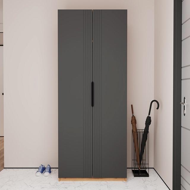 Шкаф распашной Астрис - 1 Графит